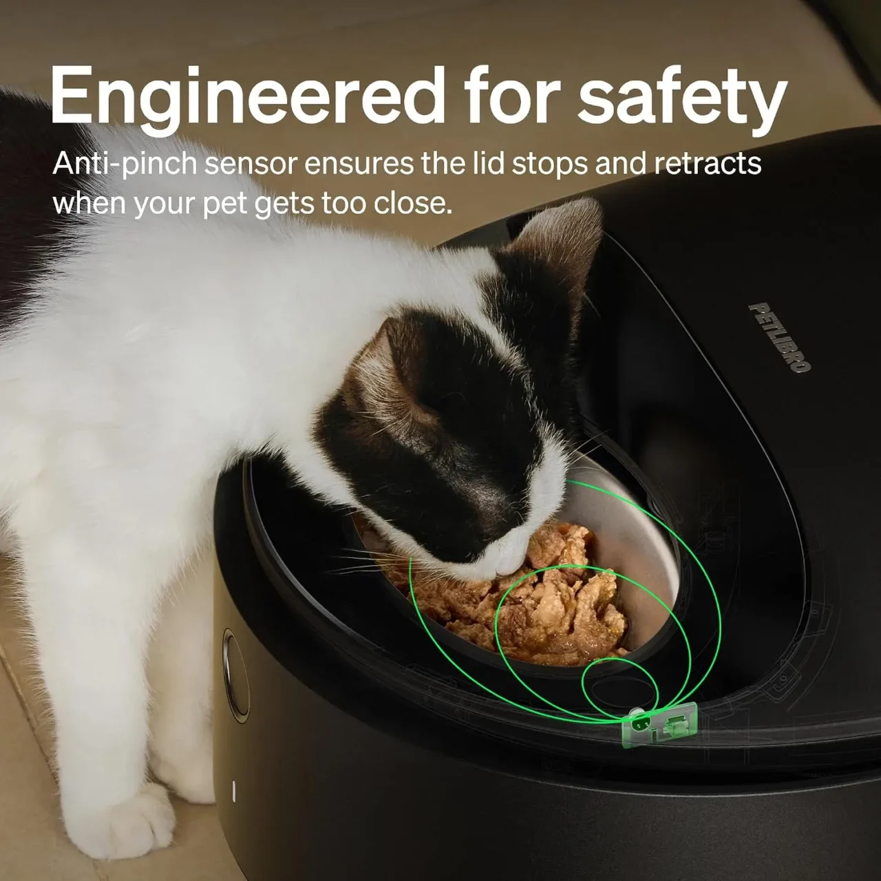 Automatic Wet Food Cat Feeder 2026 - Image 5